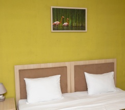 Номер Deluxe в Flamingo