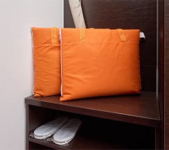 ТВИН без балкона в Диса