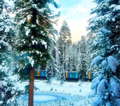 Полулюкс новый в Телецкое Золотое