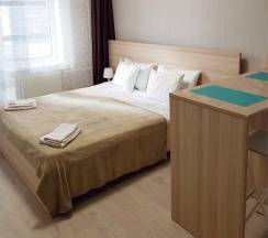 Двухместный номер Standard (двуспальная кровать) в Апартаменты Park In Pulkovo