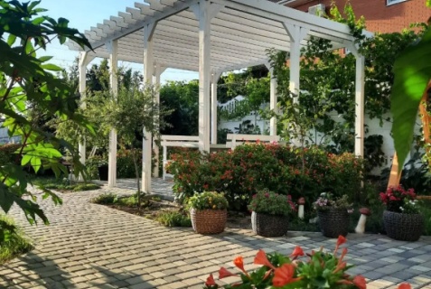 Благовещенская: Гостевой дом Белая Дача