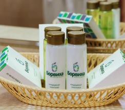 Полулюкс корпус Борвиха (с завтраком) в Борвиха hotel&SPA