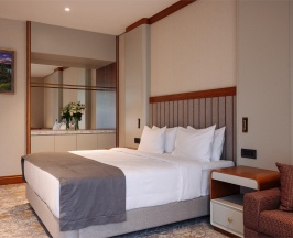 Номер делюкс с 1 двуспальной кроватью в Источник