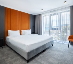Superior Double Room в Графит