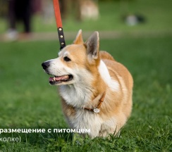 Улучшенный номер в отеле в ОхтаПарк