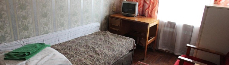 1-местный номер эконом в Протва