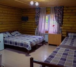 Четырехместная студия с односпальными кроватями в Лесной