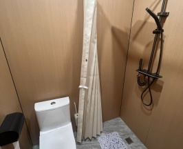 Стандарт в Liz