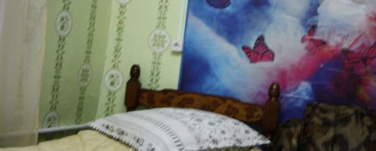 1-местный номер эконом в Селенга