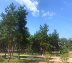 Люкс с видом на город и парк в Panorama