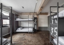 Кровать в общем номере в Thunder Bird Hostel