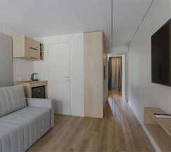 Делюкс в Loft №12