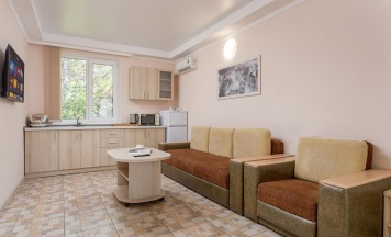 Номер студия с 1 двуспальной кроватью (корпус А Комфорт) в Русич