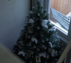 Синий Дом в Valenki