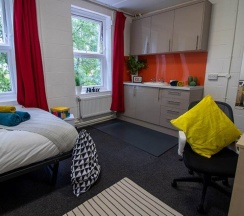 Одноместный номер Standard в Wood Green Hall - Campus Accommodation