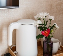 Семейный Люкс в Приозерный