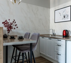 Квартира в Апартаменты на 9.3 Rose Studio ул. Гаврилова, 4