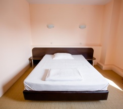 Номер стандарт с 1 двуспальной кроватью в Астория