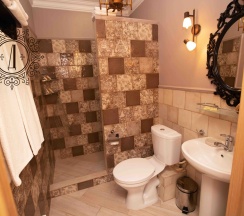 Двухместный номер Полулюкс с одной двуспальной кроватью в Дубровский