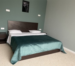 Стандарт с одной двуспальной кроватью в Rabat hotel