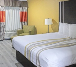 Двухместный номер Standard 2 отдельные кровати в Palacio Royale Inn Houston NW Beltway 8