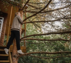 Домик на дереве "Сосновый" в Дом на дереве