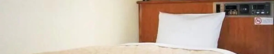 Одноместный номер Economy в Nishi Shinjuku Green Hotel