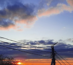 Одноместный номер в Арго