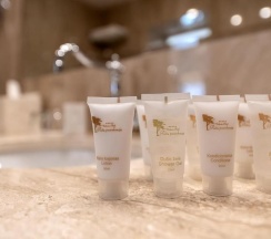 Люкс Luxury в Hotel Pusu Paunksneje