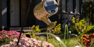 Свистуха: Глэмпинг В кронах