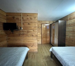 Стандарт Твин в Ковчег