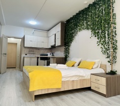 Видовая студия с панорамой 509Е в Nv Hotel