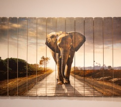 Апартаменты с возможностью заказать купель (доп.плата) в Павловские купели