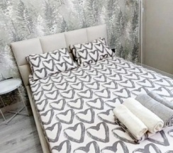 Двухместные апартаменты c 1 комнатой с балконом и с видом на внутренний двор (двуспальная кровать) в Квартира с Новым Ремонтом