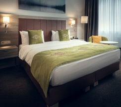 Двухместный номер Standard с красивым видом из окна двуспальная кровать в Wyndham Garden Astana