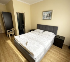 Двухместный номер Standard с балконом двуспальная кровать в Светлана