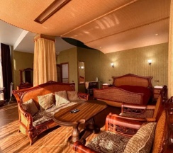 Двухместный номер VIP (двуспальная кровать) в Holiday