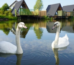 А-фрейм №1 в Family Park