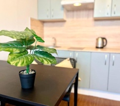 1-комнатные апартаменты стандарт в Sunny days apartment