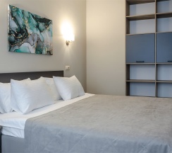 Делюкс в Topos congress-hotel