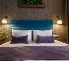 Двухместный номер Classic с одной кроватью в Mansilion hotel