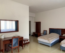 Стандарт Twin* Корпус 2 в Artis plaza hotel