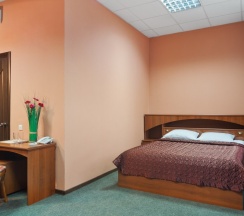 Стандарт/Standard Double Room (однокомнатный номер с одной двуспальной кроватью) в Воронеж
