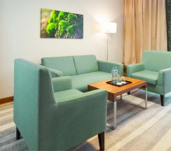 2-комнатный номер люкс с 1 двуспальной кроватью в Hotel Moscow Krasnoselskaya