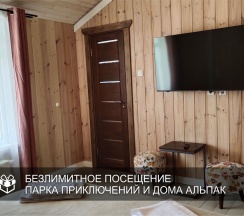 Авиньон стандарт 2-х местный в Озорные белки