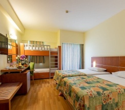Одноместный номер Standard двухъярусная кровать в Viking Park Hotel