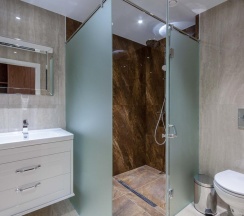 Президентский люкс в Delta Sirius