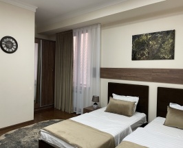 Двухместный номер Superior 2 отдельные кровати в Boutique Hotel Meros