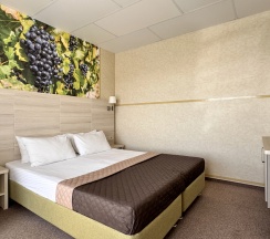 Двухместный Комфорт с террасой в Лоза Хутор