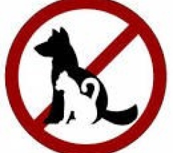 Мини Апартаменты (в 1 и 3 корпусе, 1- этаж) в Лесное поместье